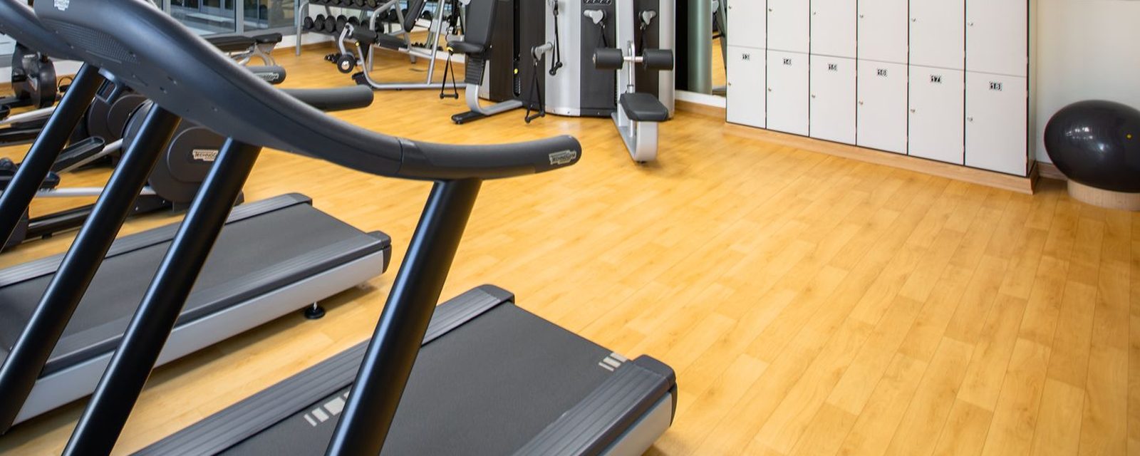 An empty gym floor with treadmills and weights machines under bright daylight.