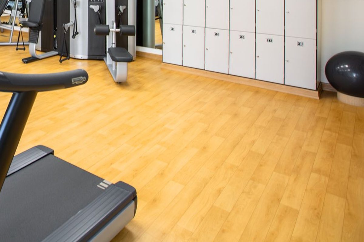 An empty gym floor with treadmills and weights machines under bright daylight.