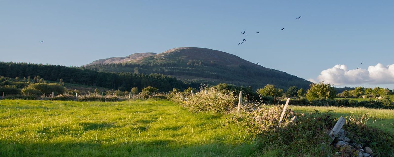 Slieve Gullion mountain over green fields in South Armagh