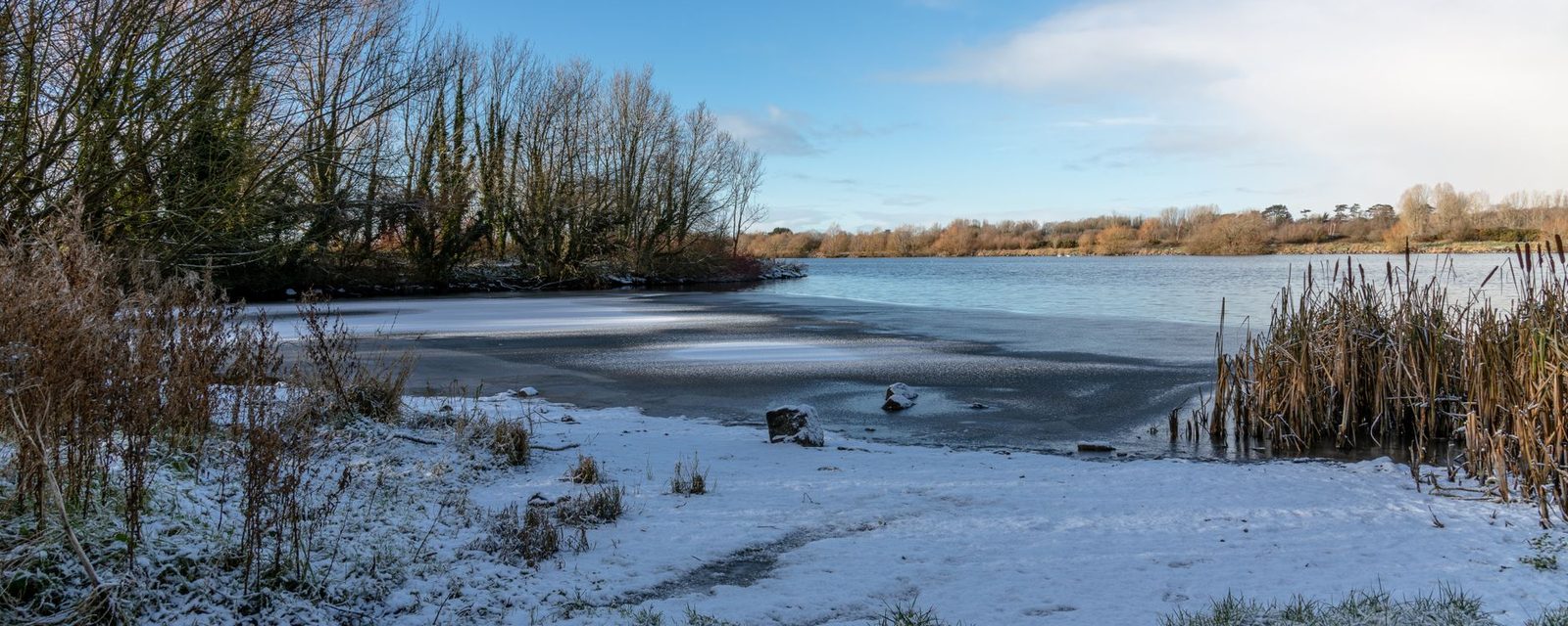 Tullygally Lake in Craigavon under snow, with bare trees and reeds at the water's edge